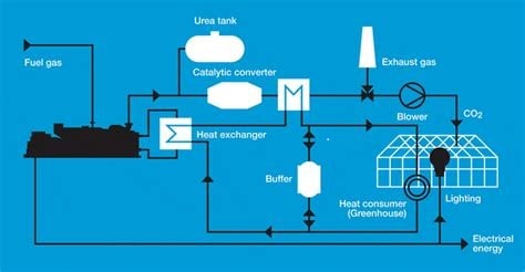 cogen picture